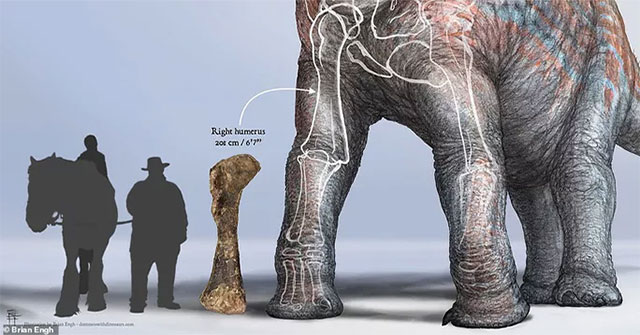 The exposed 'monster' park showing only the thigh bone was bigger than a human