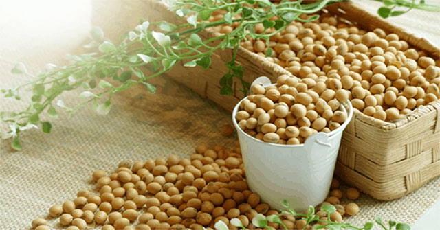 The fact that soy affects reproductive health
