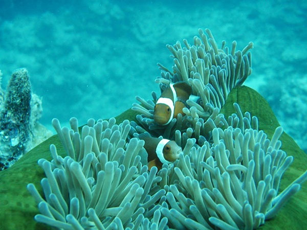 The facts may be unknown to you about the oceans