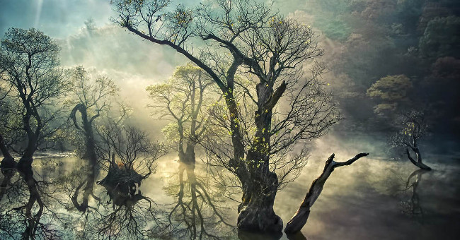 The fairyland reflected on the water in Korea