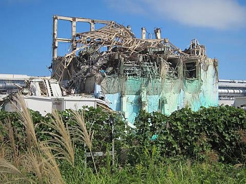 The famous Japanese milk company Meji acknowledges contaminated milk