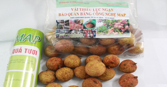 The female doctor of low-cost technology keeps fresh lychee for over a month