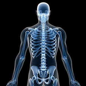 The fertility of men lies in the bones