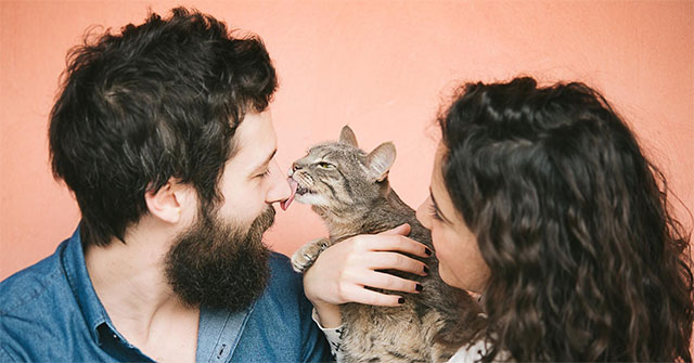 The festival of loving cats but having allergies had savior called Hypocat