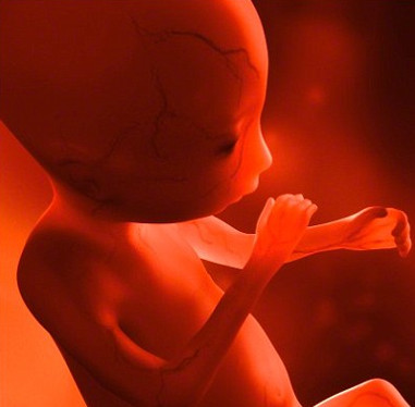 The fetus was discovered in a 4-year-old boy's abdomen