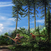 The first amphibian sea monster was found