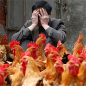 The first case of H7N9 influenza infection was detected from humans