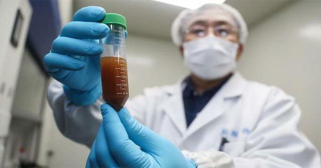 The first experimental Covid-19 vaccine produced antibodies
