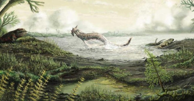 The first fossil animal traveled on land