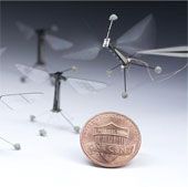 The first insect robot is in control