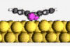 The first molecule in the world goes on two legs