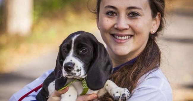 The first puppies were born from IVF