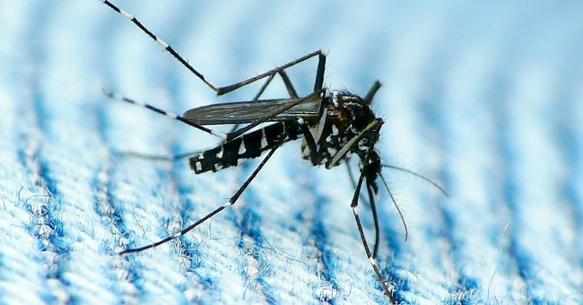 The first sexually transmitted Zika infection was detected in the United States