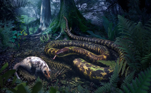 The first snakes in the world can ever have legs