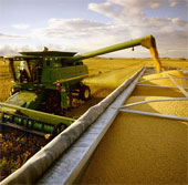 The first soybean research center in Vietnam