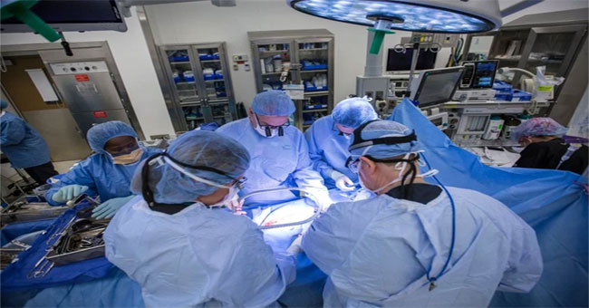 The first successful live uterine transplant in the United States