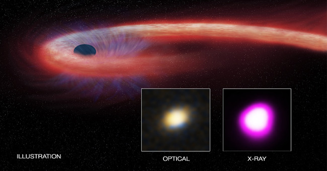 The first time a black hole was discovered, it swallowed a star