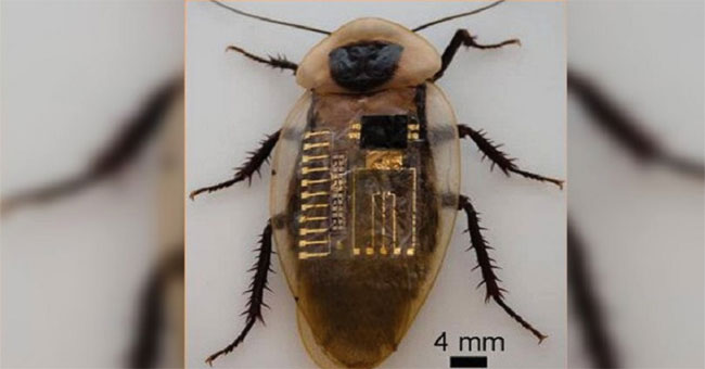 The first time 'production' was artificial nerves