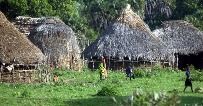 The forests of Kaya of Mijikenda people