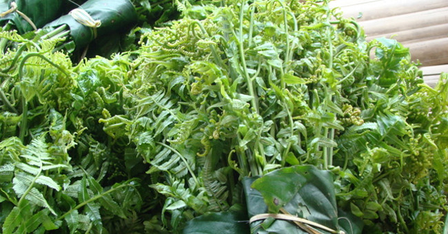 The four types of 'longevity vegetables' praised by China grow abundantly in Vietnam