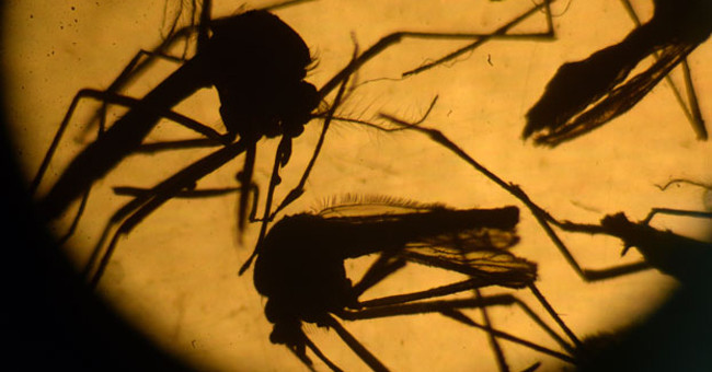 The fourth Zika patient in Vietnam is a German