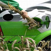 The future of vehicles powered by 'grass' energy