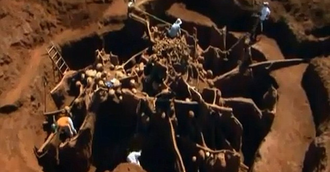 The giant ants 'wonder is likened to' Great Wall