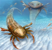 The giant marine scorpion once raged under the ocean