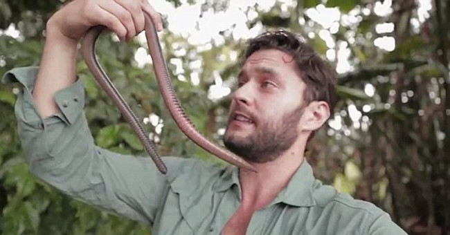 The giant snake-like earthworm was discovered in Ecuador