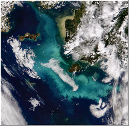 The gloomy future of the ocean (part 1)