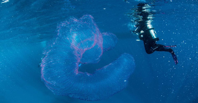 The glowing tube-shaped object made the diver confused