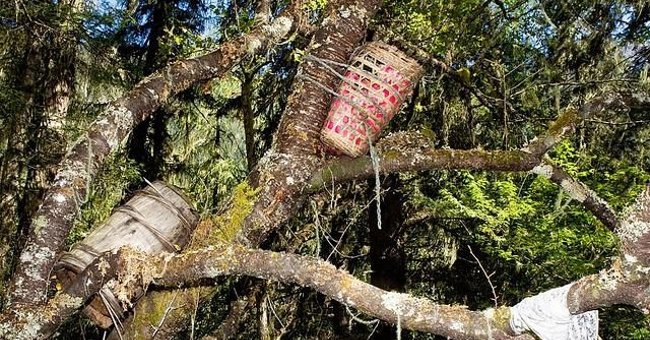 The goal is that few people know of burial on trees