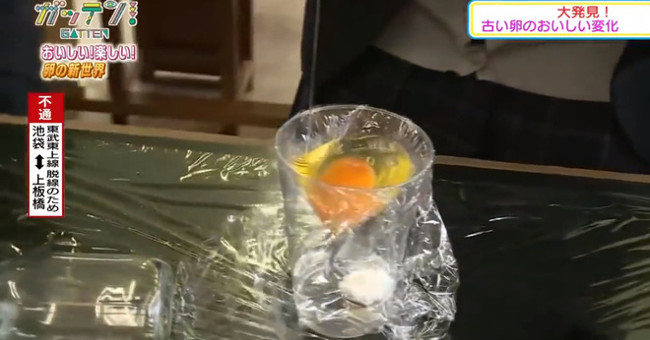 The group of Japanese students successfully conducted chicken hatching experiments without shells