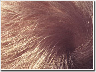 The hair revealed where the murder victim once drank water