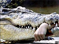 The hands were bitten off by the crocodile
