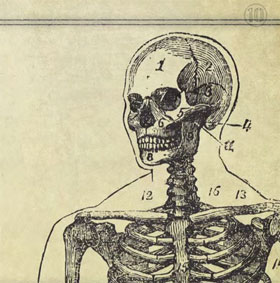 The hardest secrets about the human body