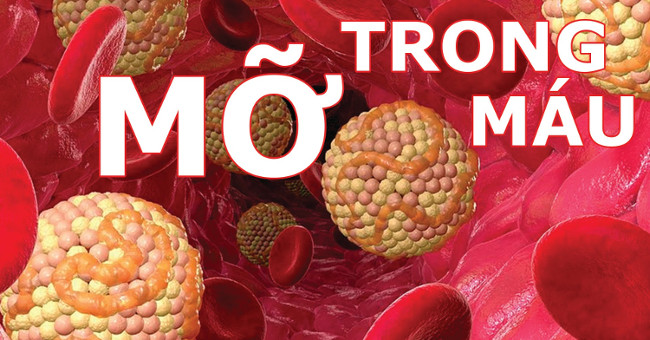 The harmful effects of fatty blood are extremely dangerous