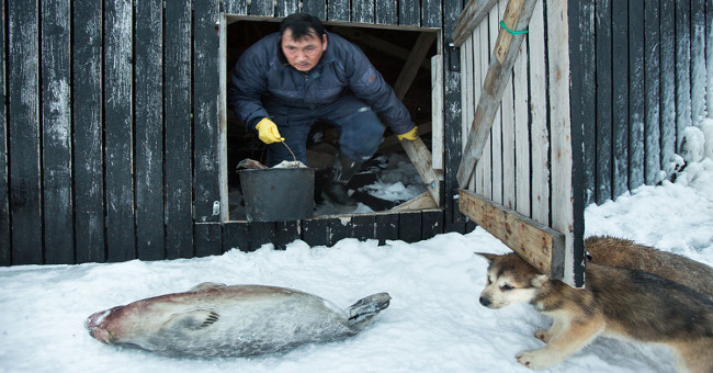 The harsh life in the cold land borders the Arctic