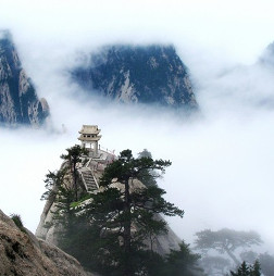 The headquarters of the real business of 8 sects