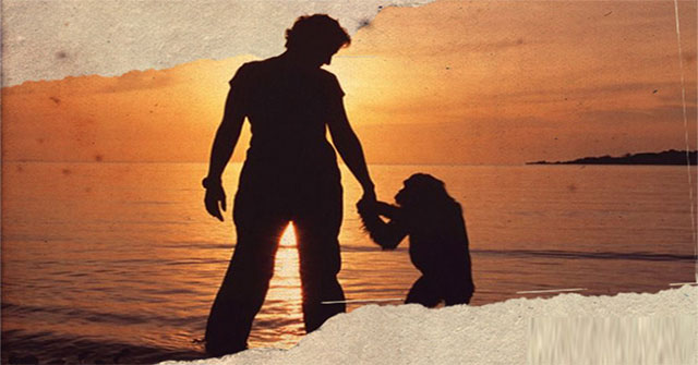 The heartbreaking story about Lucy, the chimpanzee thought he was a human