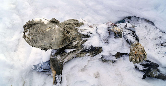 The highest mummy of three mountain climbers in Mexico
