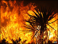The history of fires was discovered thanks to coal.