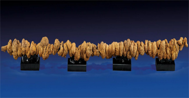 The history of the greatest 'dung' is sold for more than 200 million VND