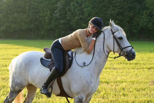 The horse is more faithful and intelligent than you think