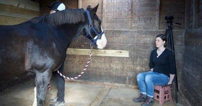 The horse remembers and adjusts the behavior according to his expression
