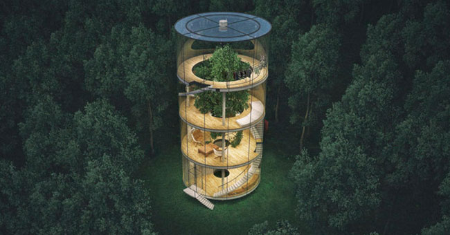 The house is transparent throughout the forest