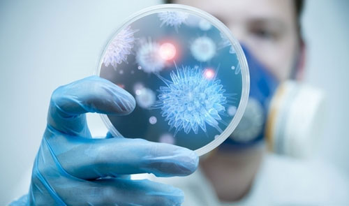 The human body has 10,000 living organisms