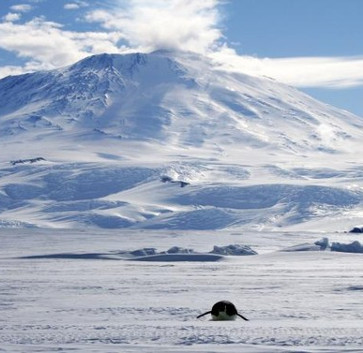 The ice in Antarctica is continuing to thicken
