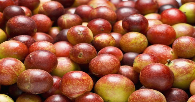 The idea is ripe plum, but when replenished it is the result of billions of people yearning