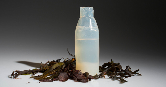 The idea of water bottles made of jelly, decompose soon after use